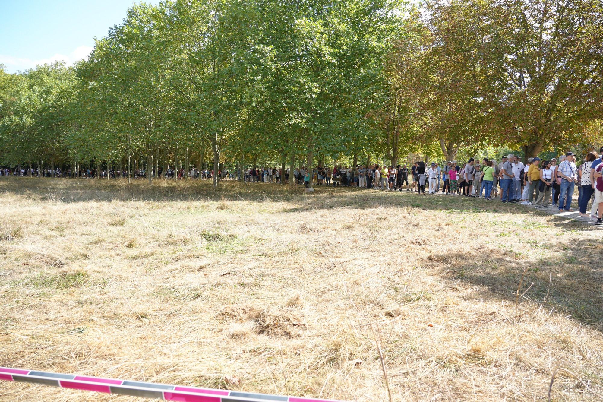 Alubiada en la campa de Olarizu