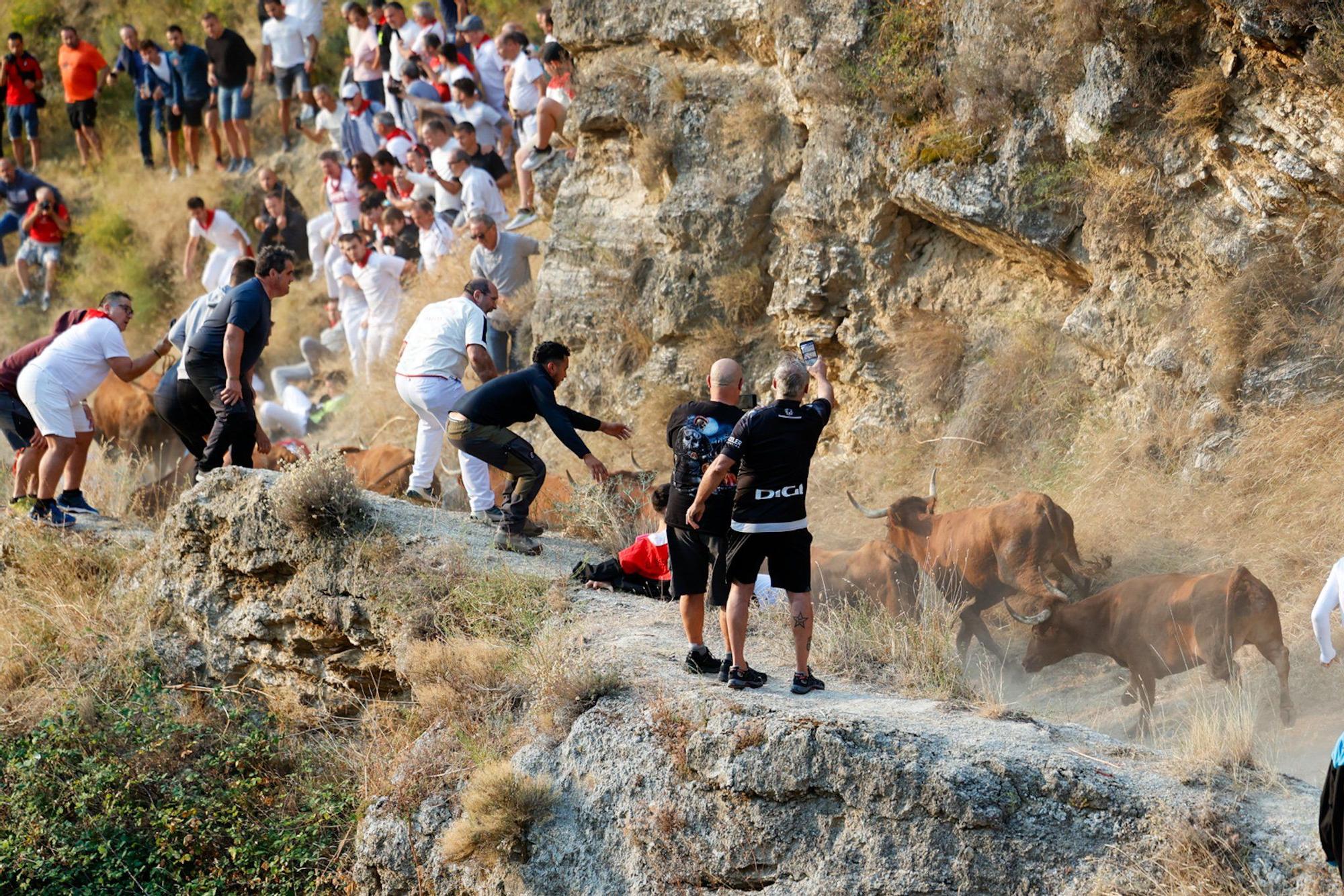 Fotos del cuarto encierro del Pilón de Falces 2025