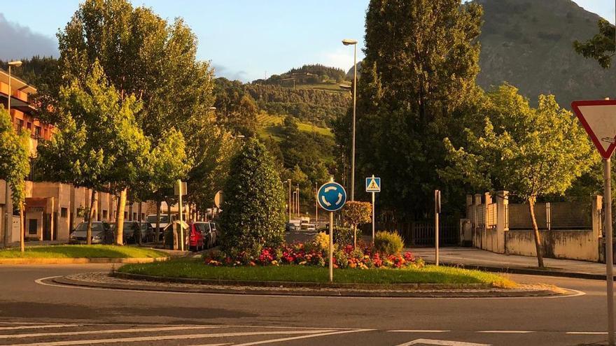 Durango remodelará el arbolado de Zumar Kalea