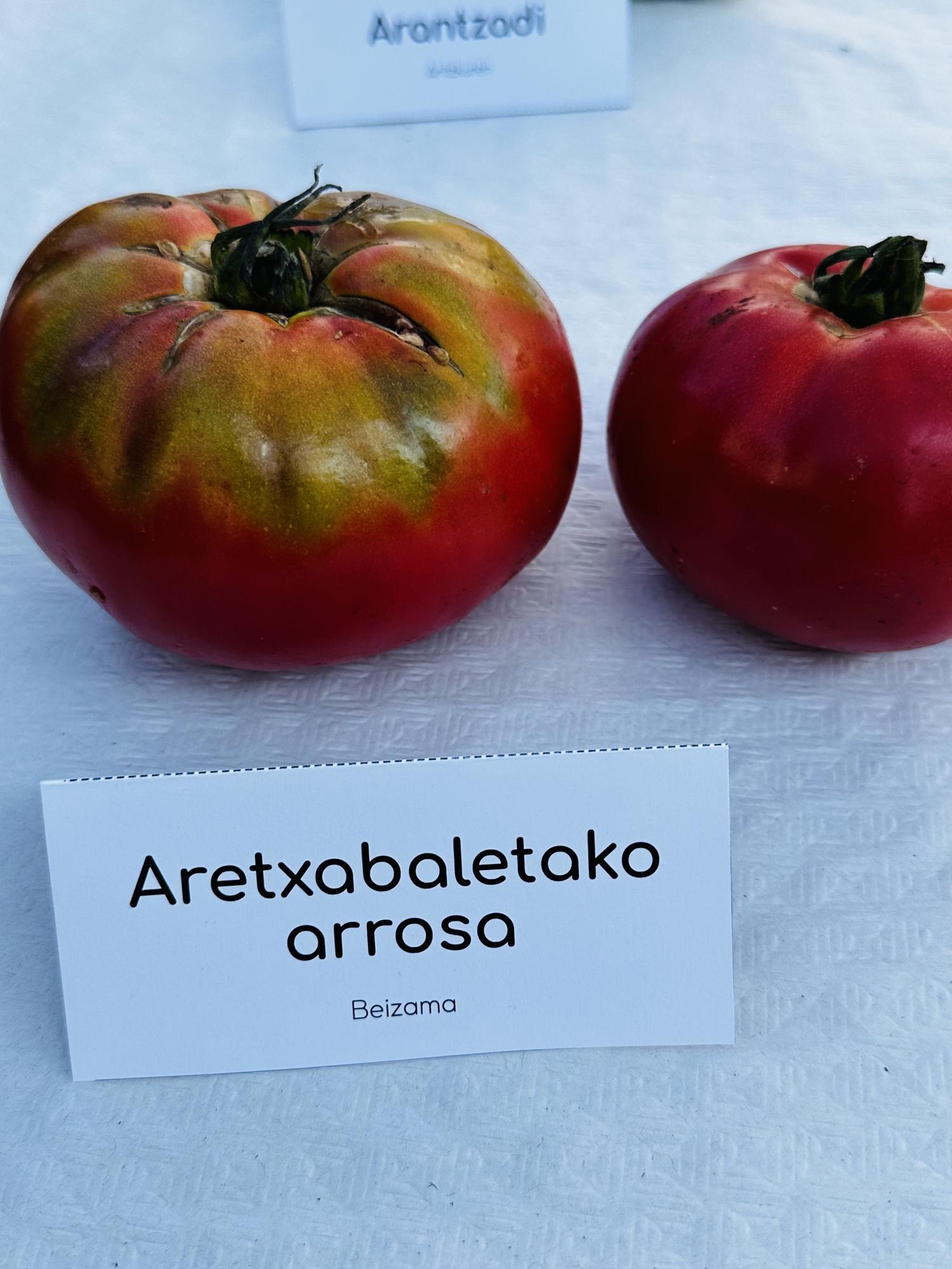 Dos ejemplares de tomate rosa de Aretxabaleta.