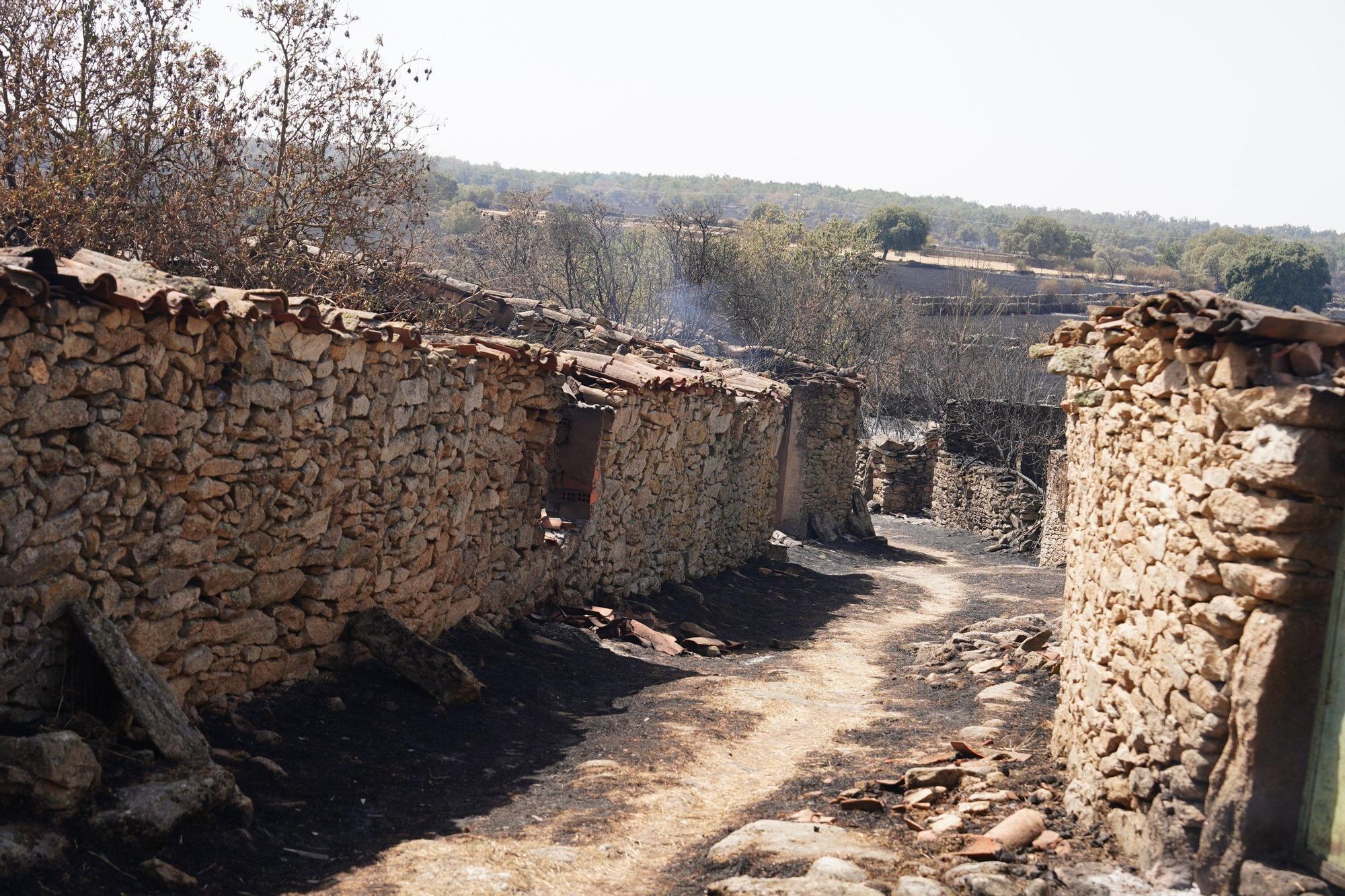 Semana negra de incendios: Cuatro muertos y 120.000 hectáreas quemadas