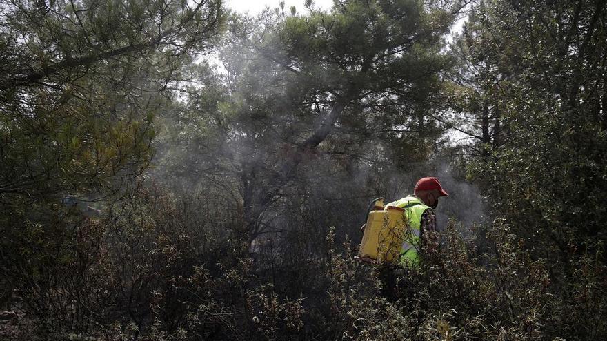 Un nuevo incendio grave en Pardesivil (León) amenaza una masa forestal de hasta 30 hectáreas