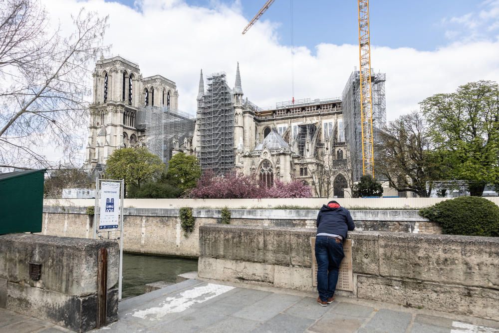 Notre Dame comienza a renacer tres años después del incendio