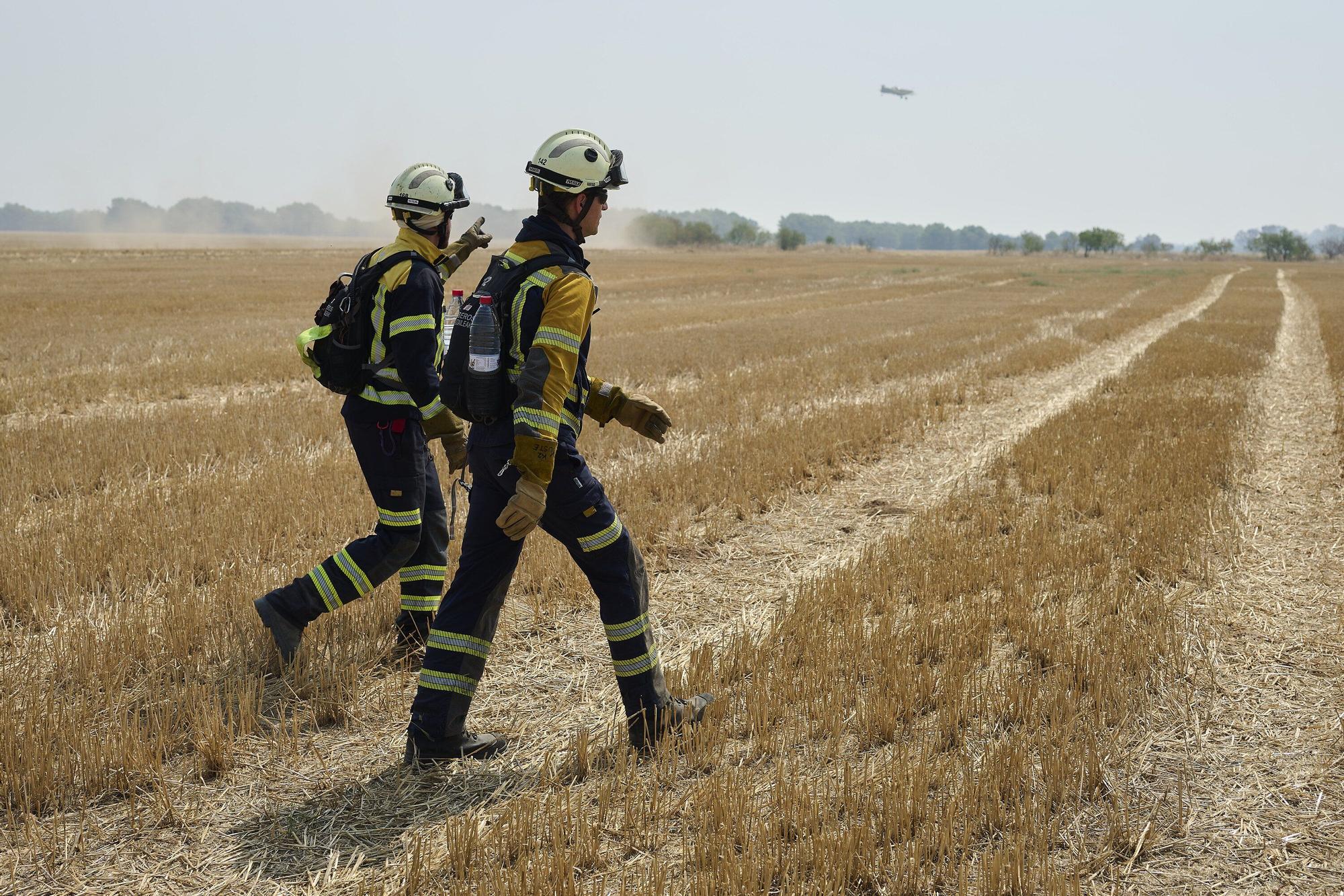 Fotos del incendio forestal cerca de Carcastillo