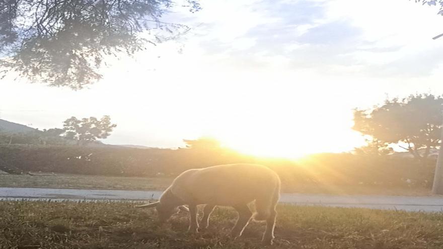 La artista navarra Nagore Chivite lleva al Sario de la UPNA  ‘Un milagro al día’
