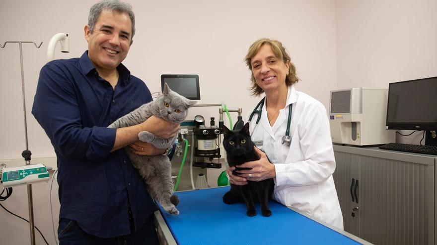 Cambiar el estrés por los ronroneos en el veterinario