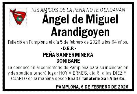Ángel de Miguel Arandigoyen