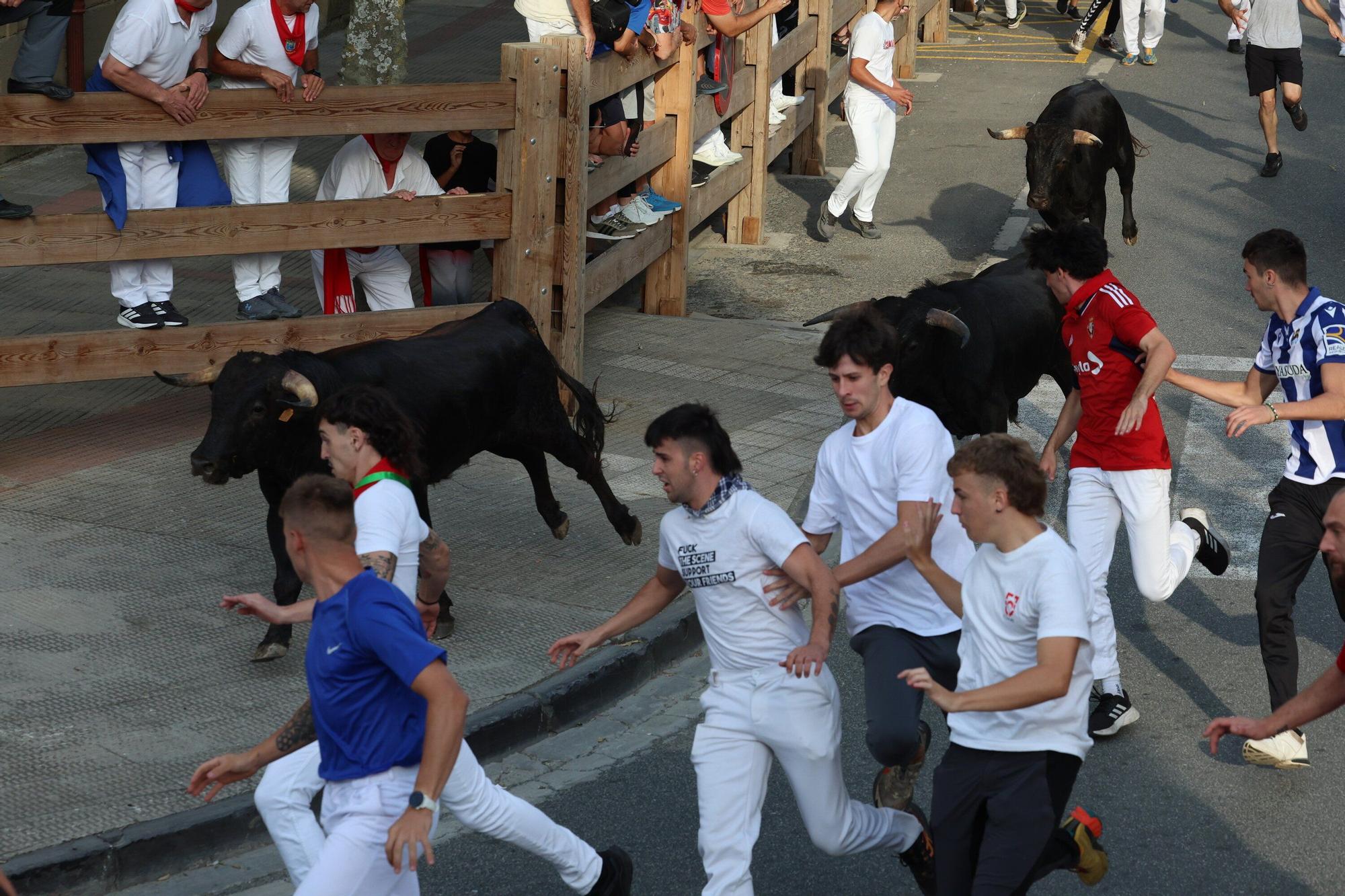 Fotos del cuarto encierro de fiestas de Tafalla 2025