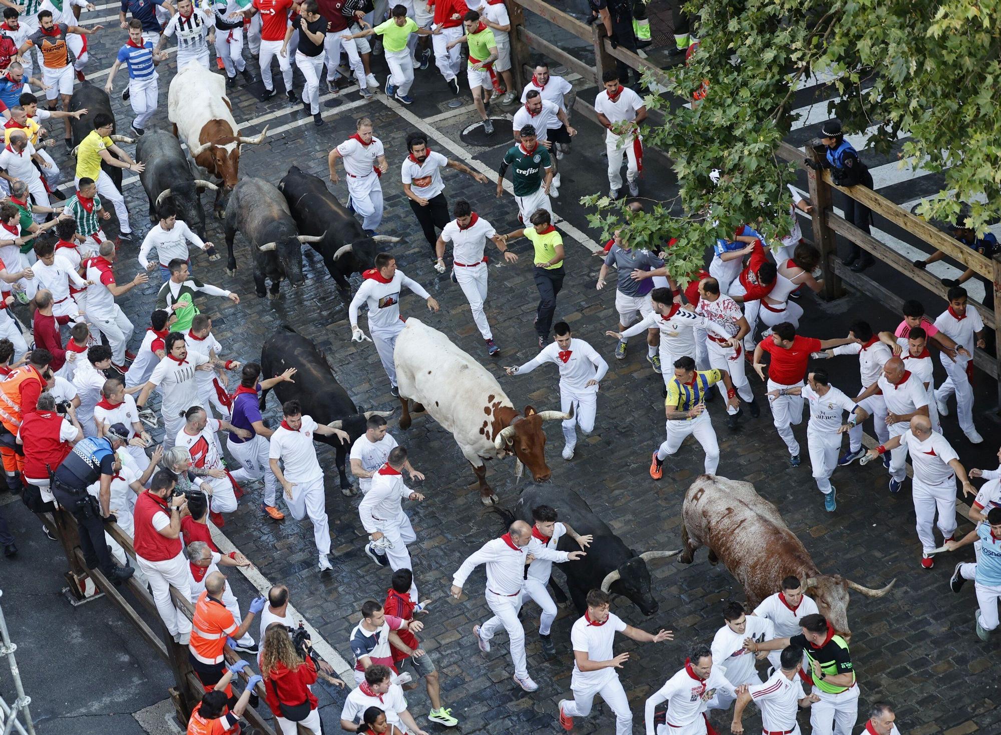 Fotos del octavo encierro de San Fermín con toros de Miura