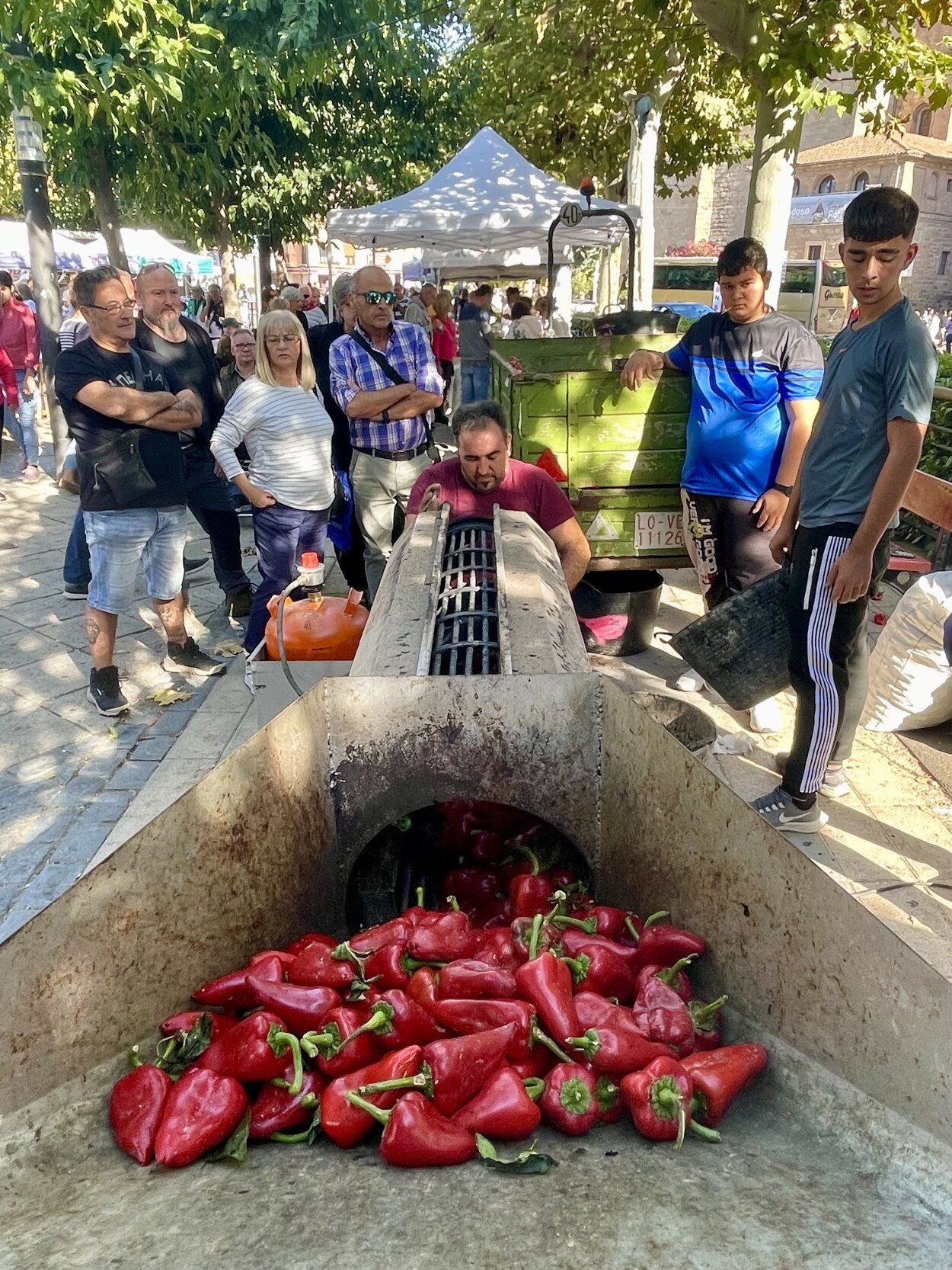 Fotos de las jornadas de exaltación del pimiento del piquillo de Lodosa
