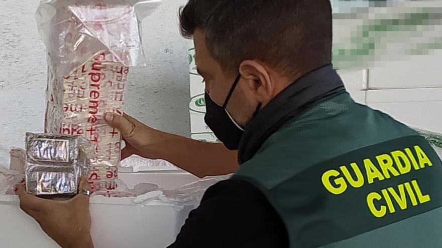 Interceptados 1.333 kilos de hachís camuflado entre pescado en Sevilla
