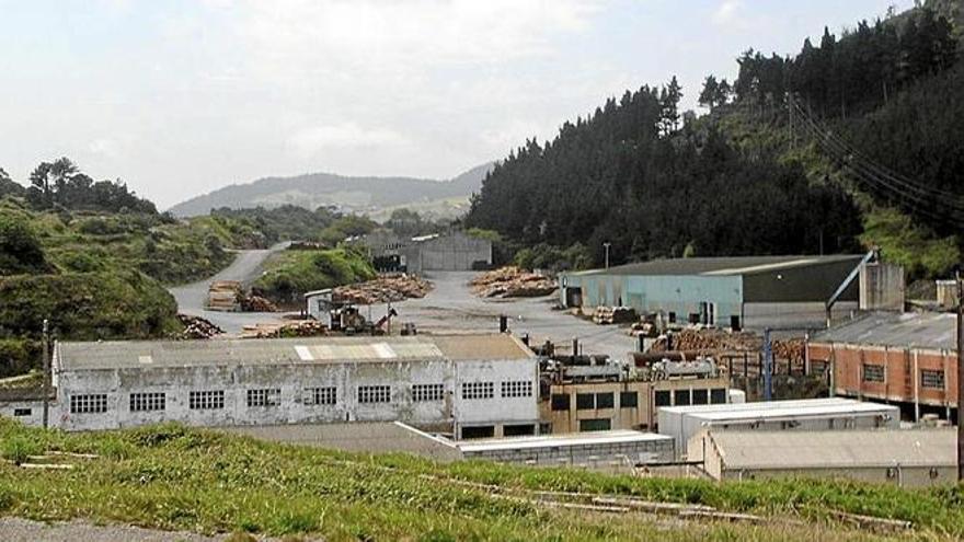 La Diputación planea instalar un gemelo digital de las cuevas de Santimamiñe en Lekeitio