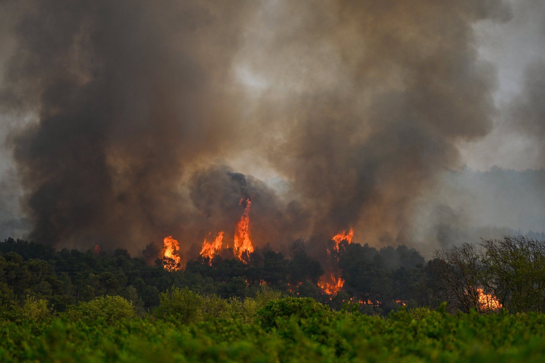 Francia lucha contra uno de los peores incendios en medio siglo