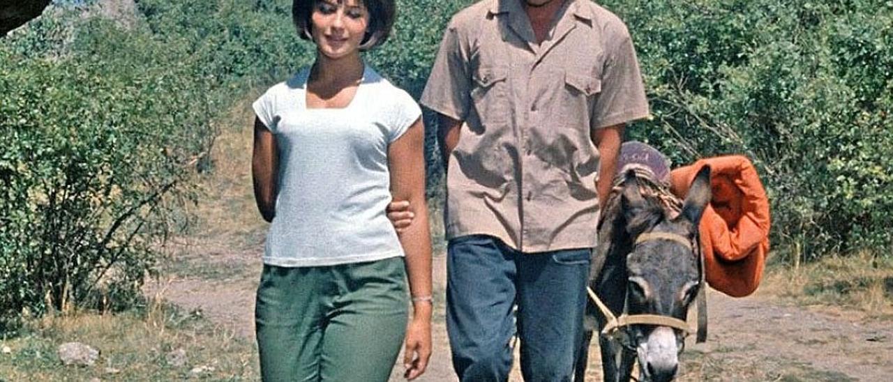 Qué hacer y qué ver en Navarra y en Pamplona. Agenda cultural