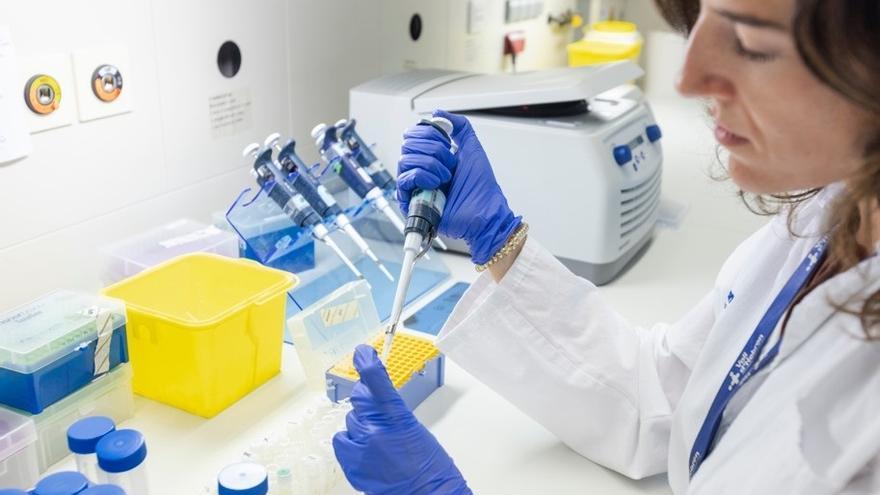 Identifican un mecanismo que favorece la metástasis del cáncer de colon al hígado