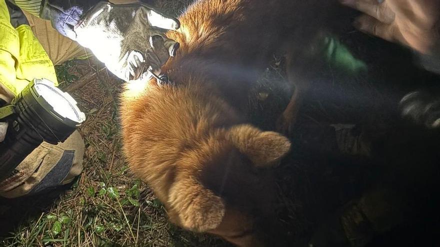 Rescatan a un perro caído en una sima de Igorre