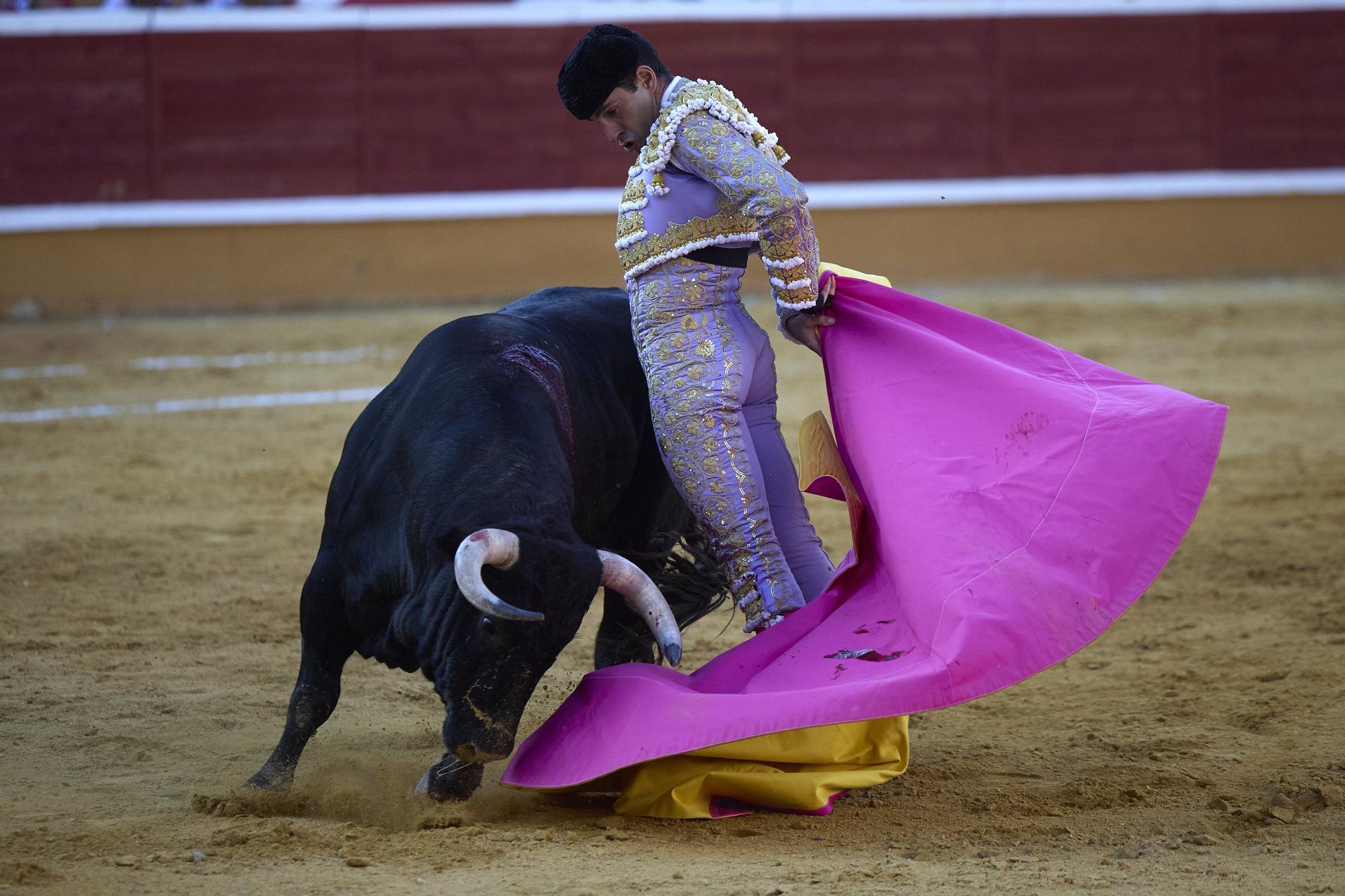 Fotos de la corrida de toros en Tudela con toros de Garzón Valdenebro