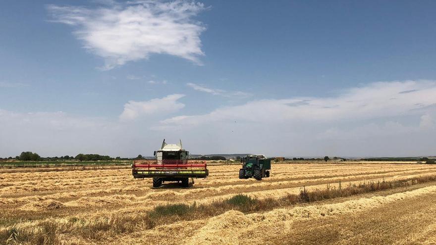 Navarra autoriza las labores agrícolas por la mini tregua de la ola de calor
