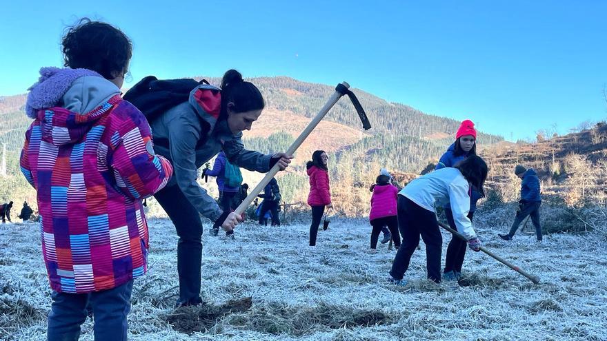 Arrasate siembra futuro en sus bosques con el Día del Árbol