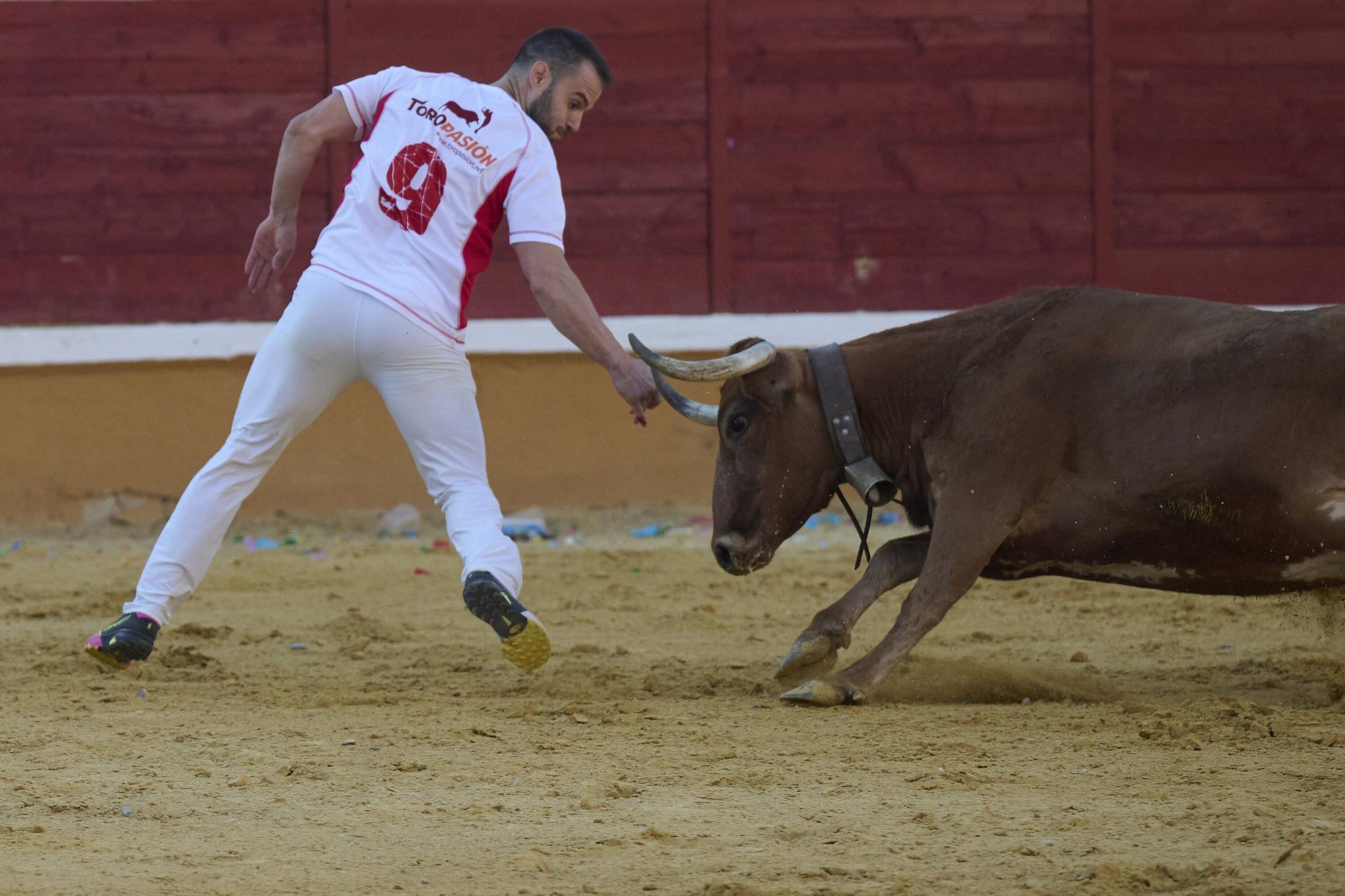 Concurso de recortadores con anillas