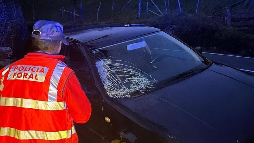 Animales sueltos en Navarra: un accidente en Saldías y una actuación preventiva en Castejón
