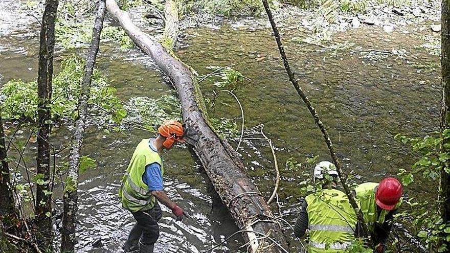Operarios introducen un tronco en el río Leizaran para enriquecer el hábitat.