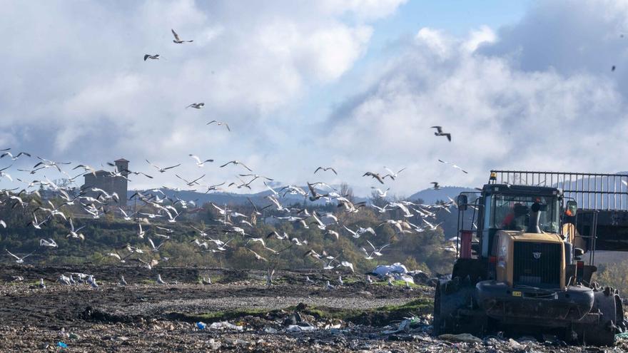 Gardelegi resuelve solo 8 de los 23 requerimientos ambientales y encara un nuevo modelo de gestión