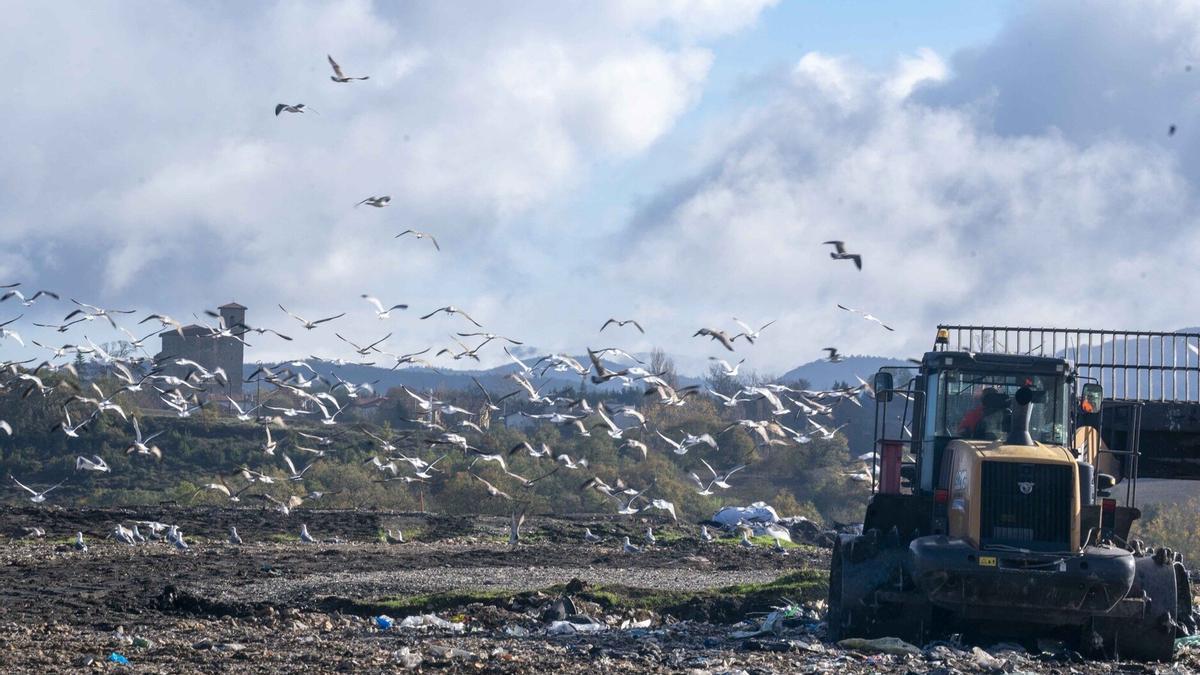 Vertedero de Gardelegi