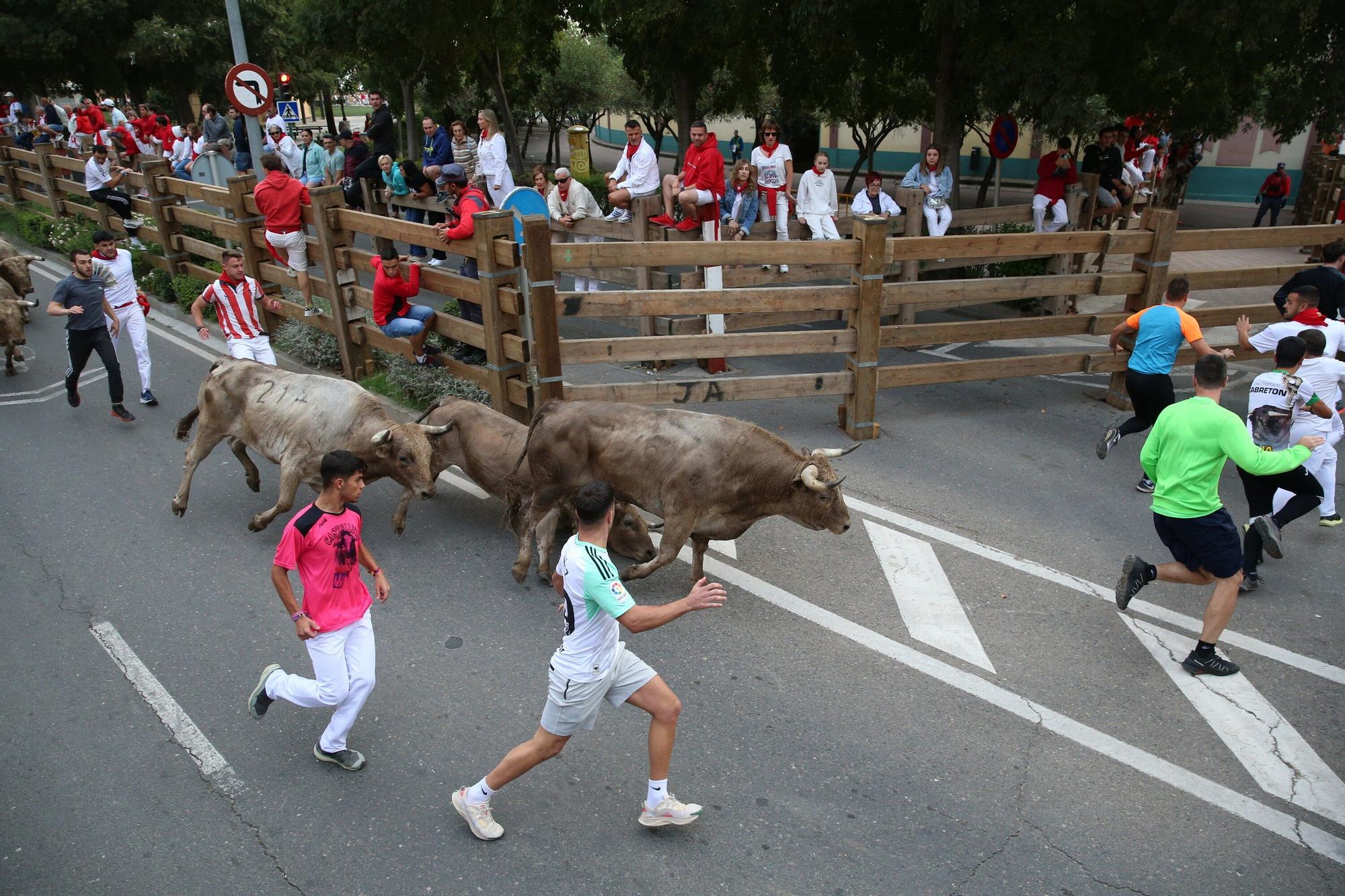 Fotos del sexto y último encierro de las fiestas de Tudela 2025
