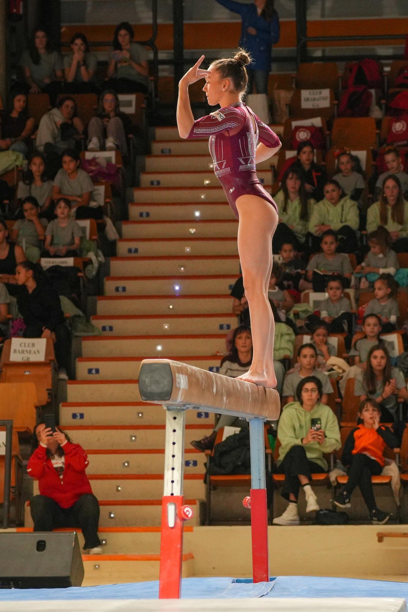 En imágenes: Mendizorroza disfruta la 30ª Gala Internacional Navideña de Gimnasia
