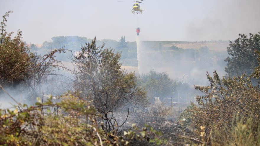 Incendio en una zona de huertas en Castejón
