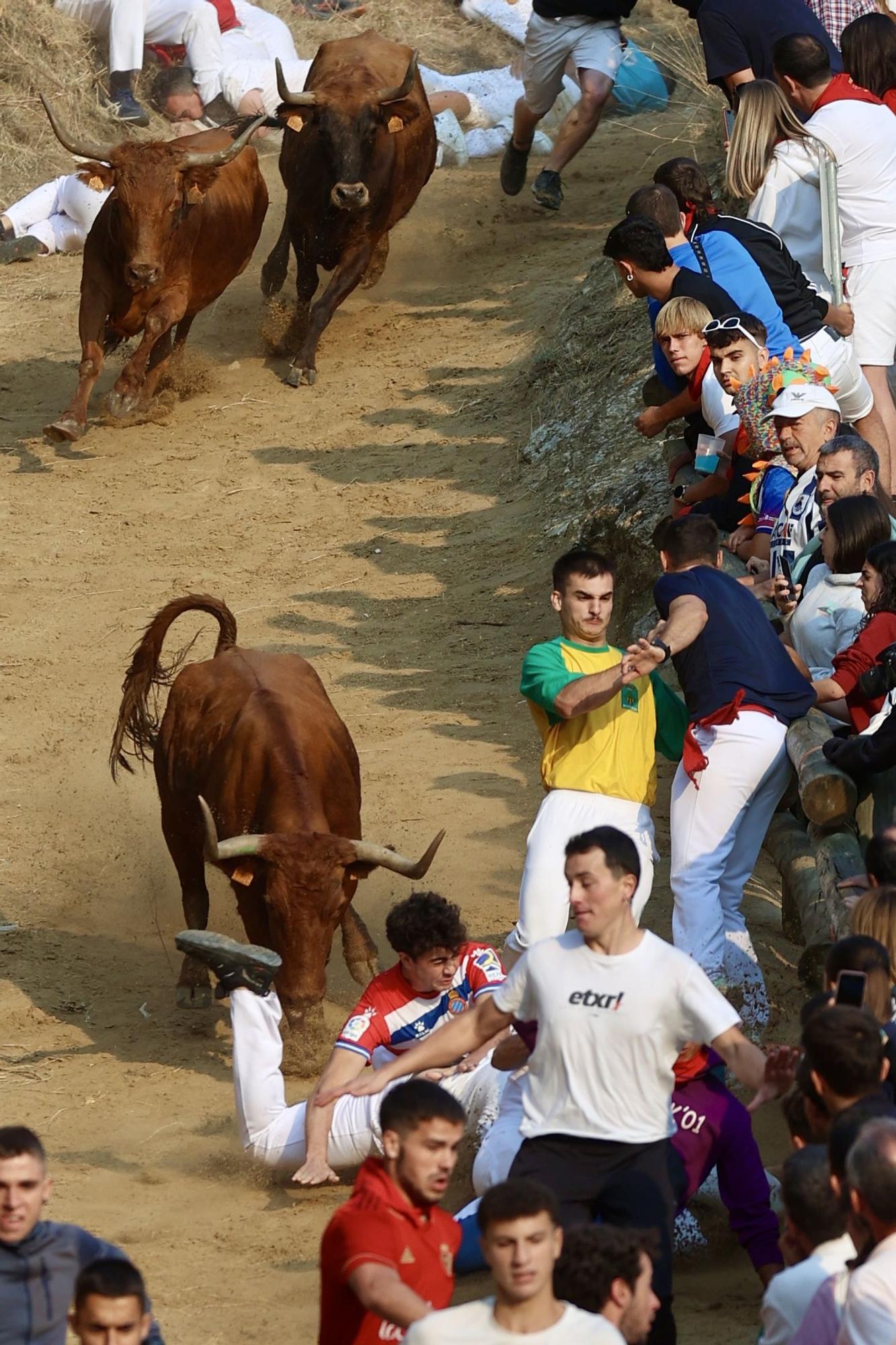 Fotos del cuarto encierro del Pilón de Falces 2025