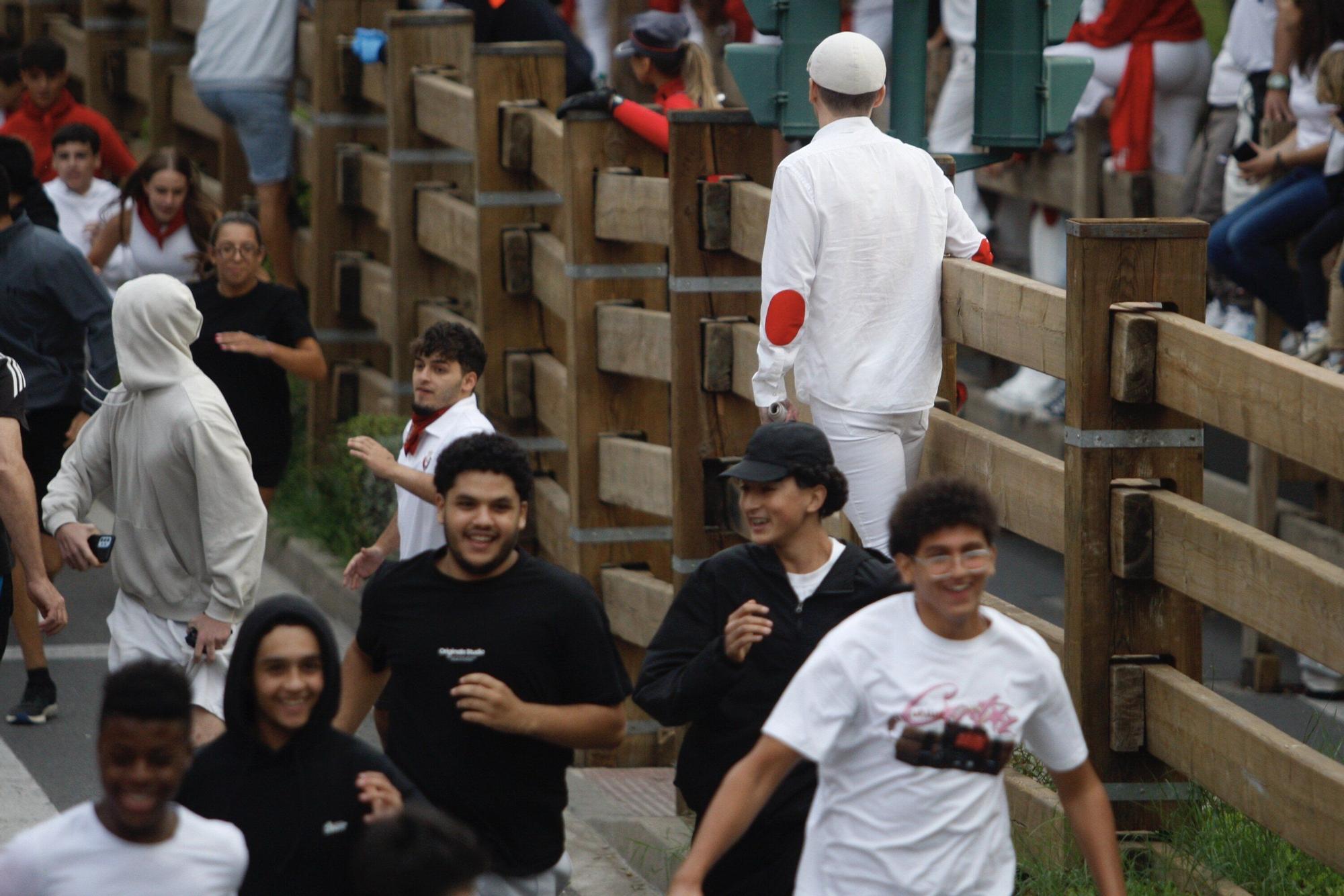 Fotos del sexto y último encierro de las fiestas de Tudela 2025