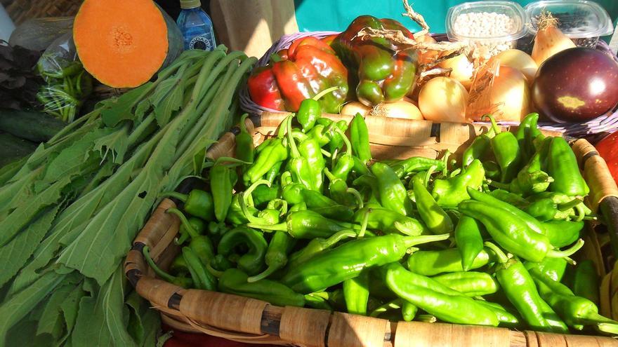 Feria ecológica mañana sábado en Mungia