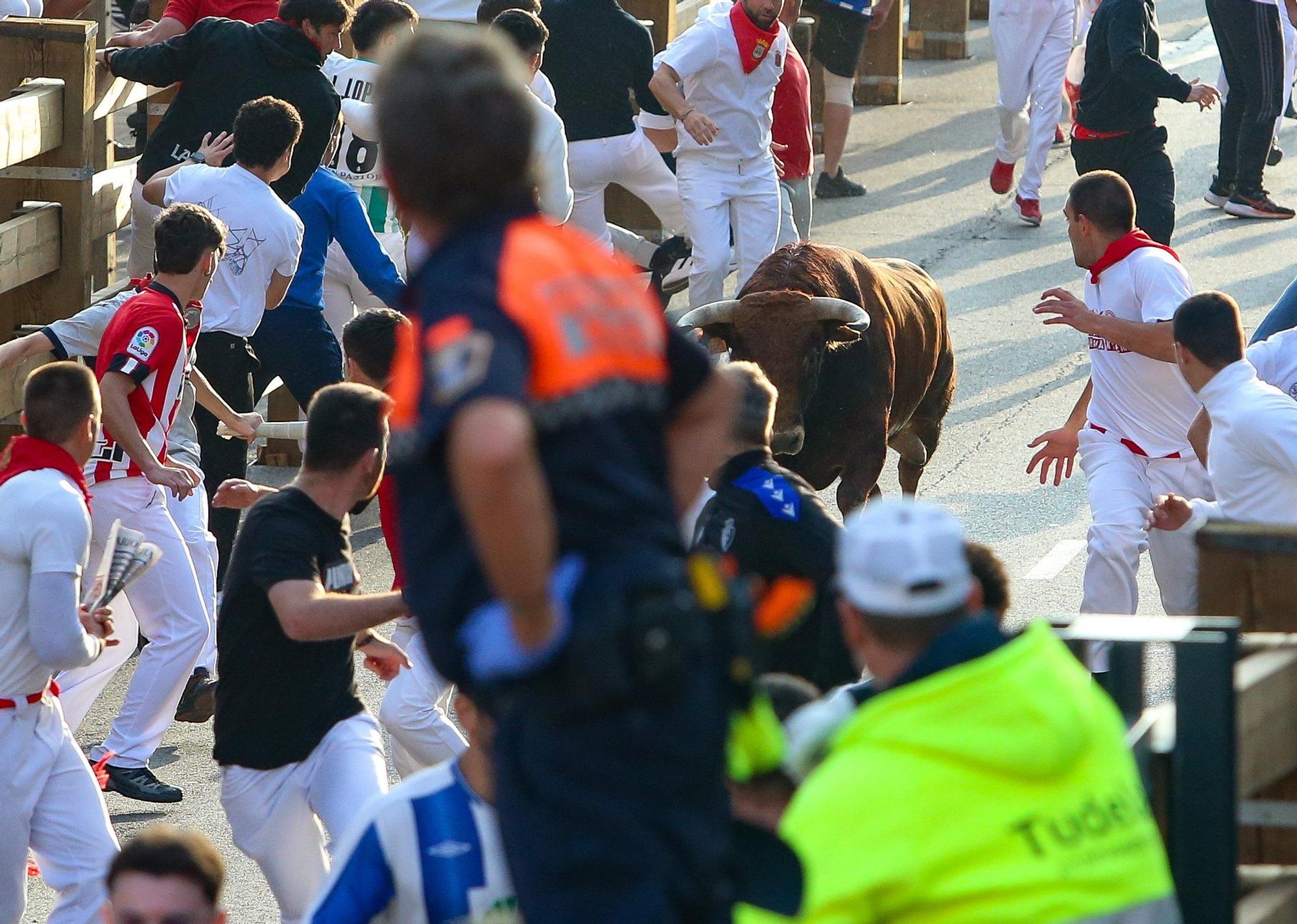 Fotos del primer encierro de las fiestas de Tudela 2025