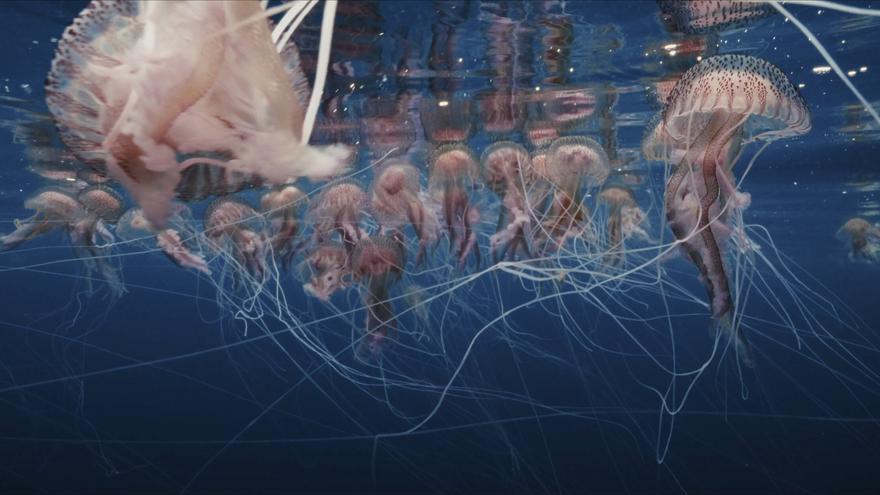 Vuelve la magia del cine bajo las estrellas a Arrasate