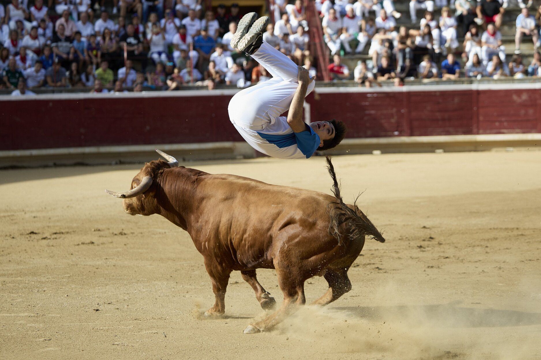 Fotos del concurso de recortadores de fiestas de Tafalla