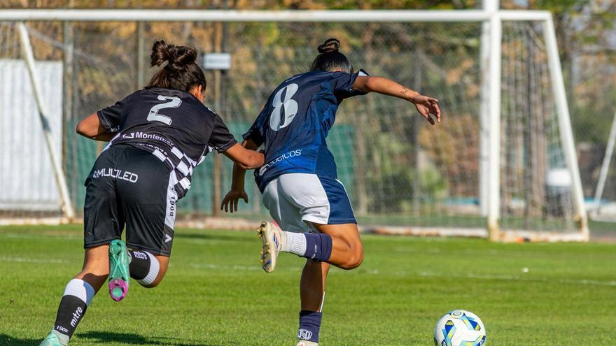 Kirol entrenamenduaren erronkei buruzko monografikoa argitaratu du EHUk