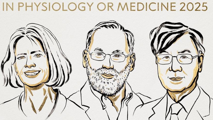Estos son los ganadores del Nobel de Medicina 2025: Mary E. Brunkow, Fred Ramsdell y Shimon Sakaguchi