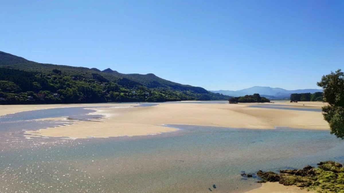 Azti elabora el primer catálogo genético de los sedimentos de los estuarios vascos