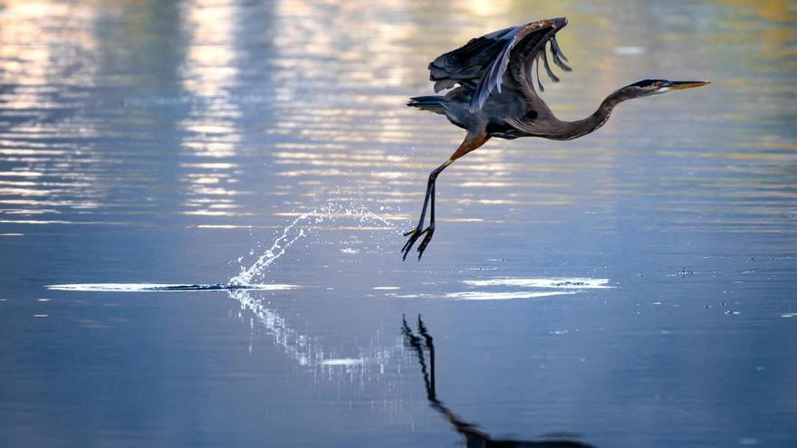 Navarra controlará la calidad del agua de siete nuevas zonas vulnerables a nitratos