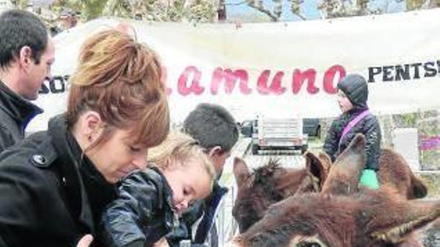 En la feria también se mostró ganado de la zona.