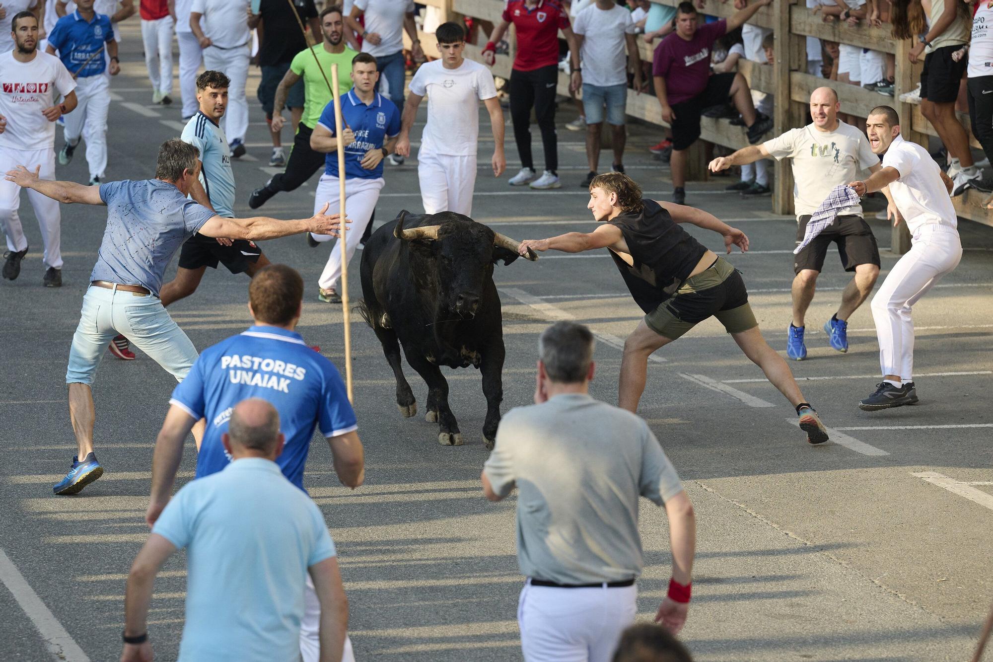 Fotos del primer encierro de fiestas de Tafalla