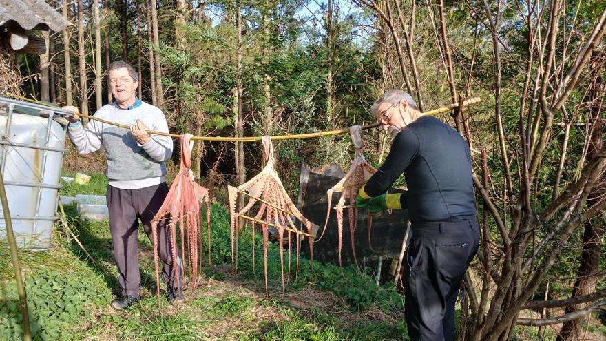 Este es el pueblo de Gipuzkoa donde se prepara la mejor sopa de pulpo