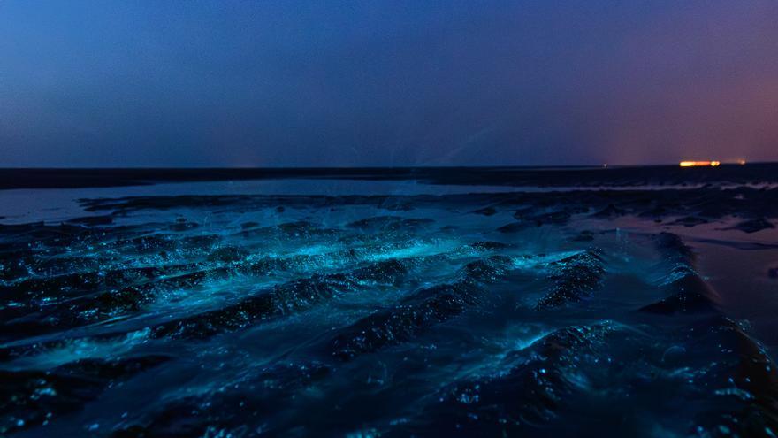 Las playas de España donde se puede ver bioluminiscencia marina