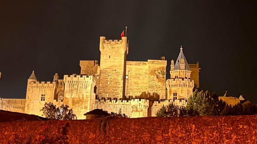 Geroa Bai celebra la renovación del alumbrado del Palacio Real de Olite