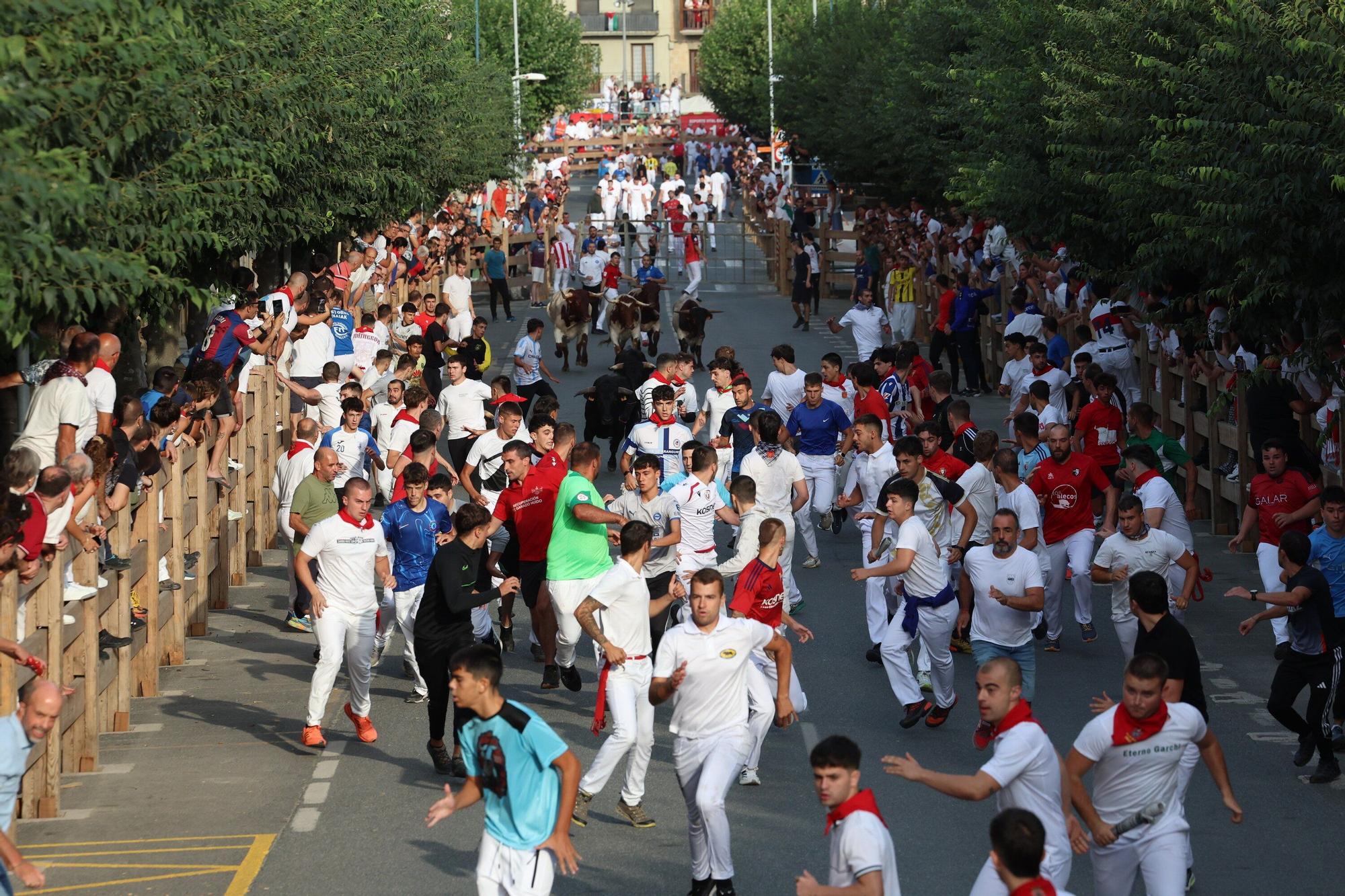 Fotos del cuarto encierro de fiestas de Tafalla 2025