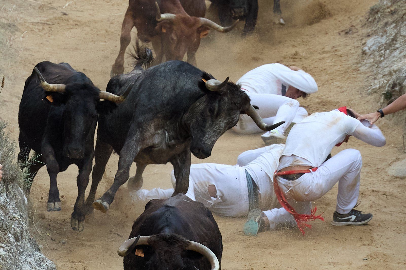 Fotos del tercer encierro del Pilón de Falces 2025