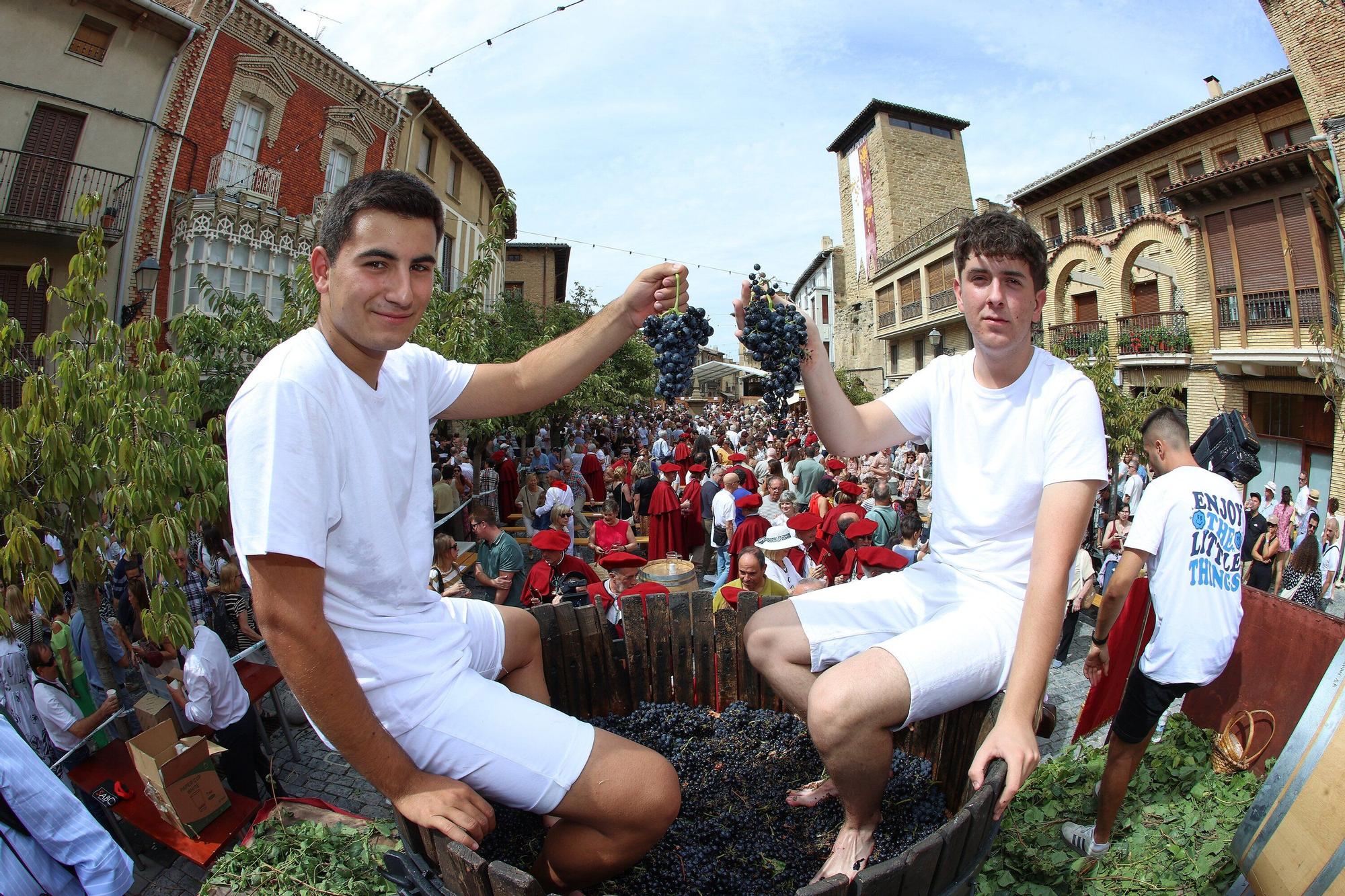 Fotos de la Fiesta de la Vendimia 2025 en Olite