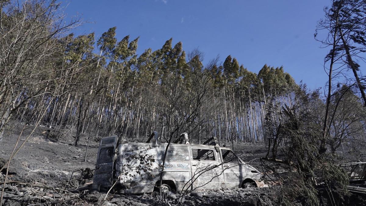 El fuego quemó más de 500 hectáreas en la zona de Enkarterri (Bizkaia) en 2022.